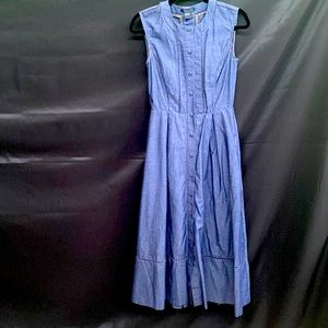 Blue sleeveless button down dress